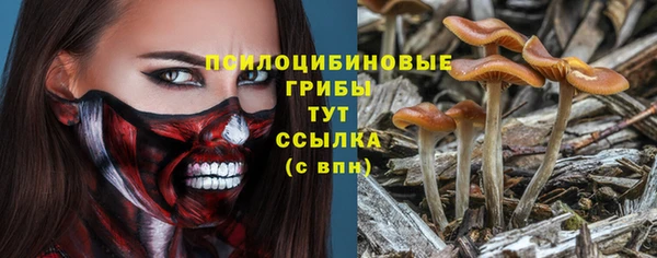 тгк Михайловск