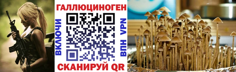 Псилоцибиновые грибы мицелий  Купить закладки  Анжеро-Судженск 